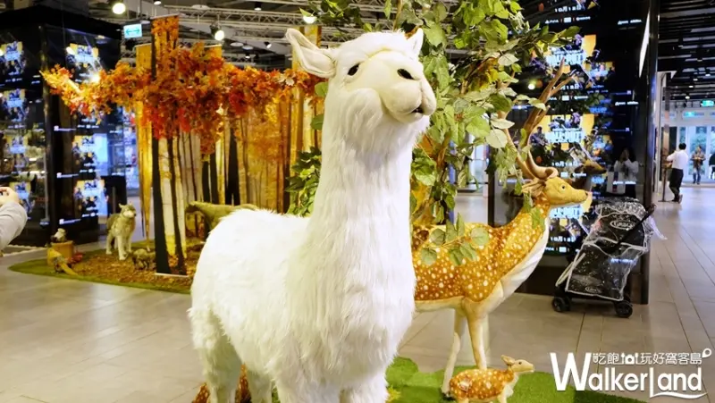 我是馬克十週年紀念展/ WalkerLand窩客島提供