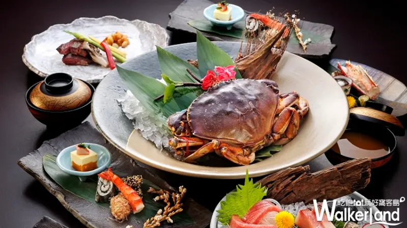 這次沒吃到，不知道會要等多久！六福皇宮祇園日本料理推出今夏御獻立「黃金蟹」大餐，1kg的加拿大螃蟹重量上菜。