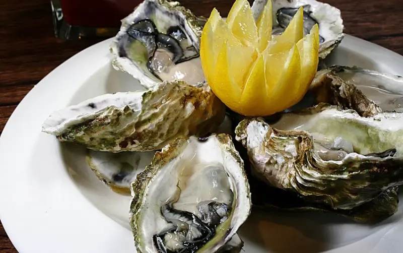 澎湖生蠔無限吃！雨林餐廳要幫老爸們加菜，期間限定推出「爸節有禮 炫父饗宴」活動，菜色升級再加碼高檔明蝦免費送。