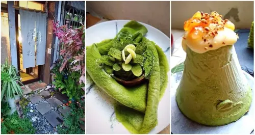 踏著細雨微涼、在楓紅綠意當中，品味來自京都的茶香～草DORO