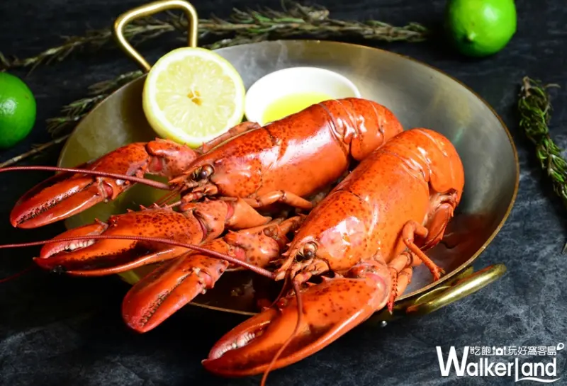 期間限定！加拿大太子龍蝦快閃30天，君品酒店雲軒西餐廳再次推出「月銷8000隻太子龍蝦大餐」。