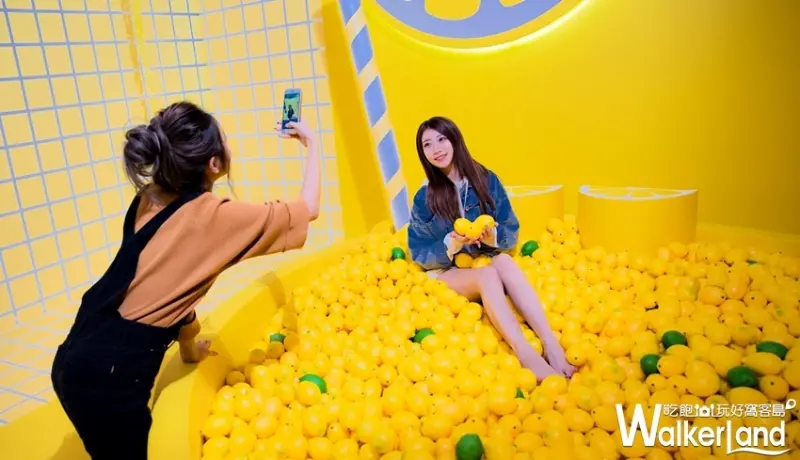 快拍明星夢 / WalkerLand窩客島提供