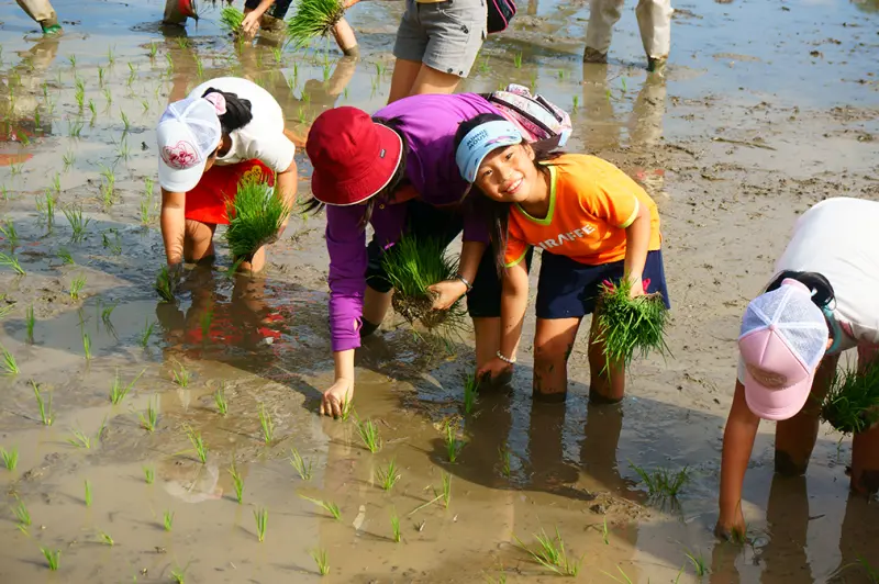 2015夏日HIGH客祭！「蒔田夏令營」大手拉小手一同體驗客家農村之美！