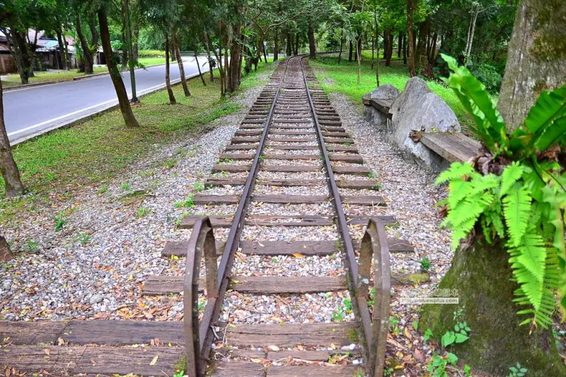 窩客 安魯魯與陽光姐 推薦 林田山林業文化園區