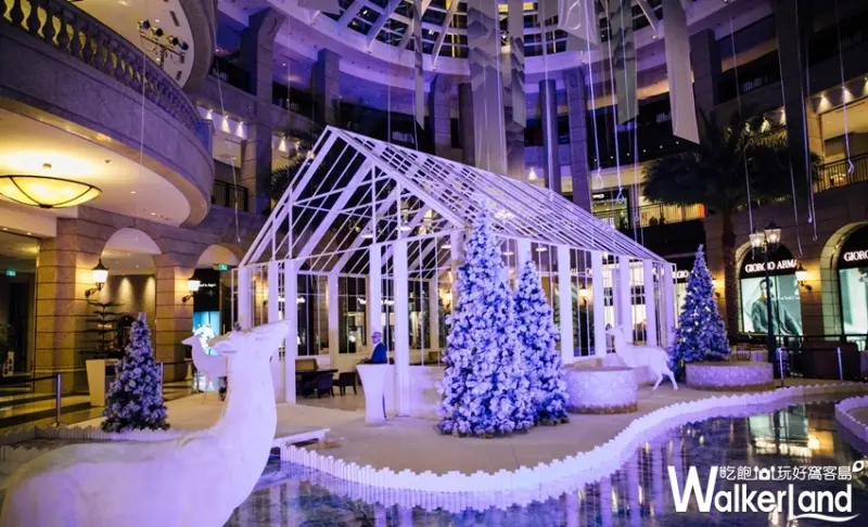 BELLAVITA / WalkerLand窩客島提供