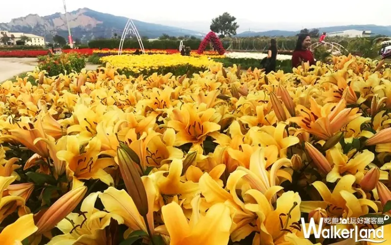 中社觀光花市 / WalkerLand窩客島整理提供