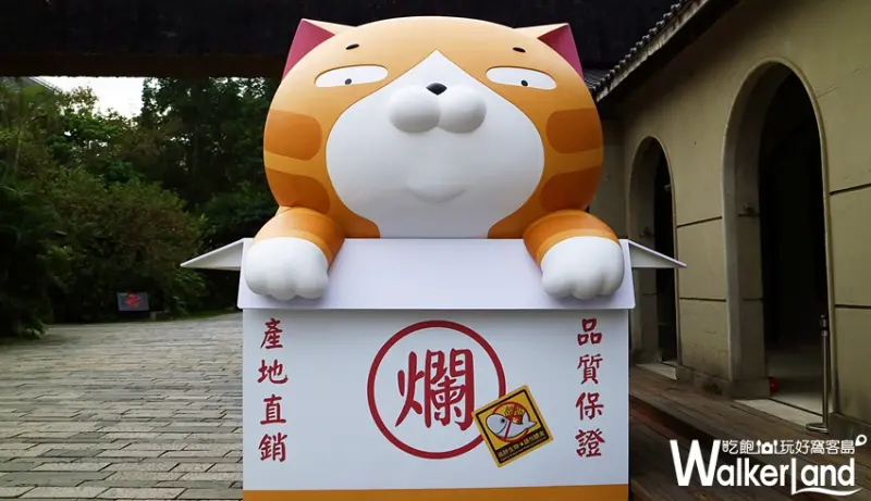 松菸「嗨起來!白爛貓五週年特展」 / WalkerLand窩客島整理提供 未經許可不可轉載