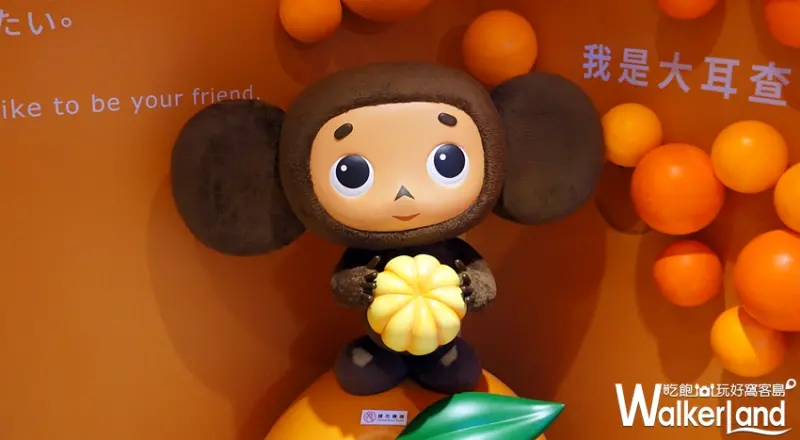 你好，我是查布-大耳查布50週年特展  / WalkerLand窩客島提供