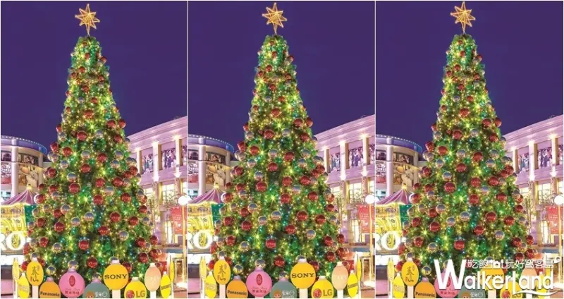 大魯閣草衙道 / WalkerLand窩客島整理提供