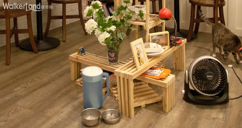 貓咪先生的朋友 營造對貓咪友善的環境