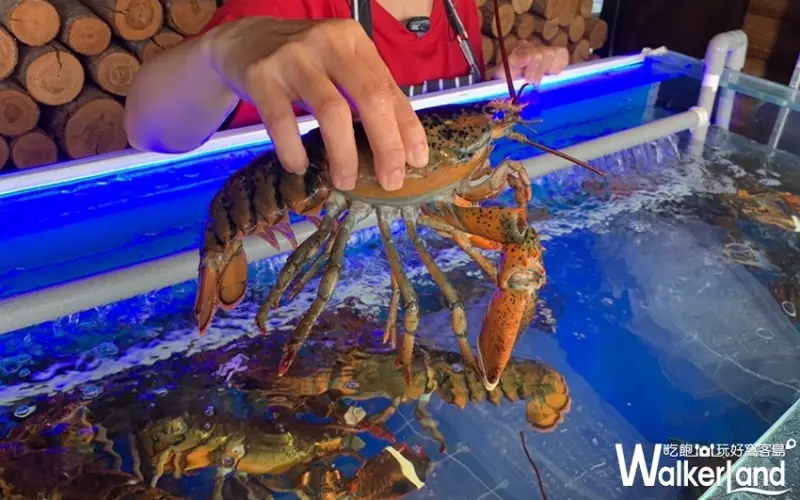 台中「肉多多超市燒肉」 / WalkerLand窩客島提供