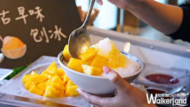 50樓Café  / WalkerLand窩客島提供