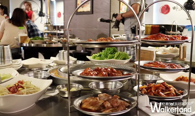 新麻蒲海鷗 / WalkerLand窩客島提供