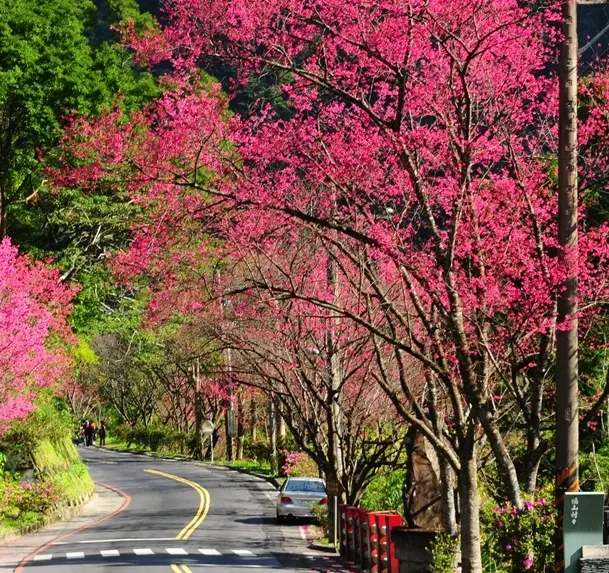 一起Running Holidays！新北烏來峽谷馬拉松 蕭青陽操刀完賽獎牌