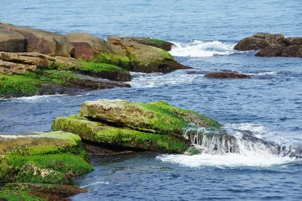 神秘海岸 /旅遊窩客 蘇菲 提供