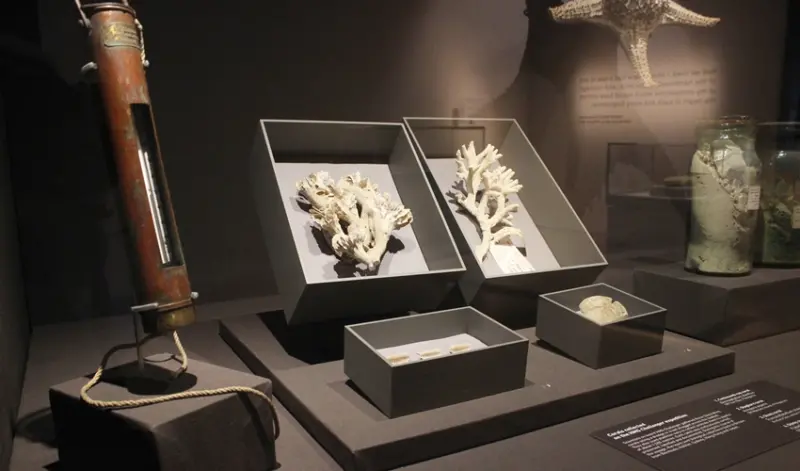 「大英自然史博物館展」/ WalkerLand窩客島提供