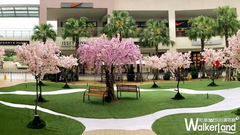 林口三井Outlet櫻花季「日式櫻花花園」 / WalkerLand窩客島整理提供 未經許可不可轉載
