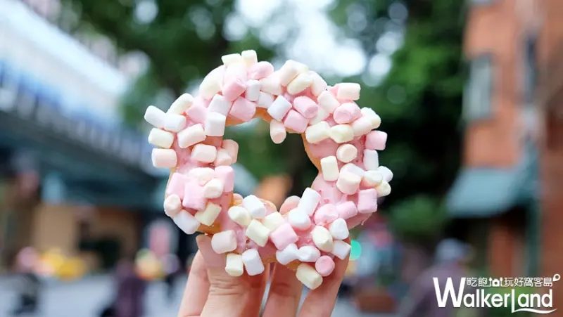 Mister Donut / WalkerLand窩客島提供