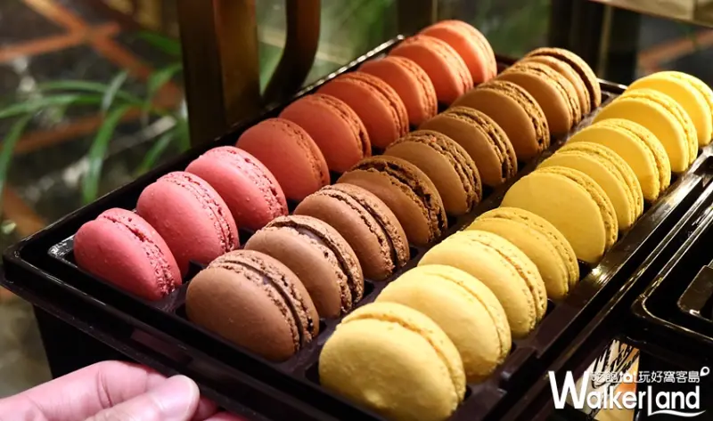 TWG 手工茶風蛋糕 / WalkerLand窩客島提供