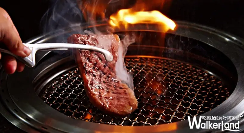 花鮨/ WalkerLand窩客島整理提供