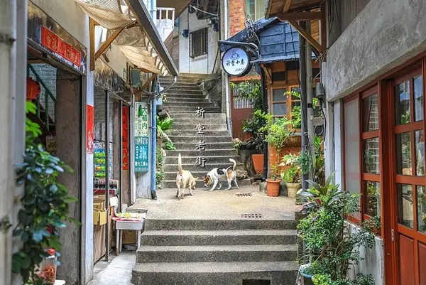 旅遊窩客 陳小可 提供 / 祈堂老街