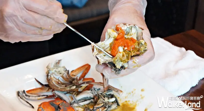 樂天皇朝 / WalkerLand窩客島提供