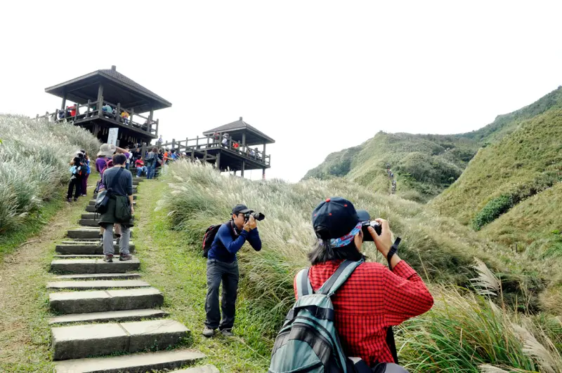 草嶺古道芒花季2015熱鬧登場！登山愛好者注意！秋天就是要賞芒花！