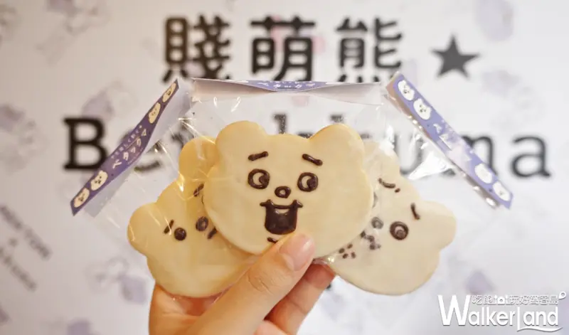 懶得"鳥"你X 賤萌熊  / WalkerLand窩客島提供