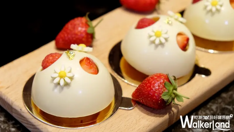 漢來海港 吃到飽 / WalkerLand窩客島提供