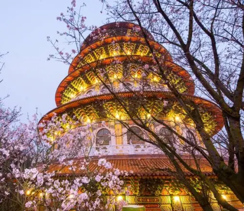 淡水『無極天元宮』   2015/03/13櫻花花況