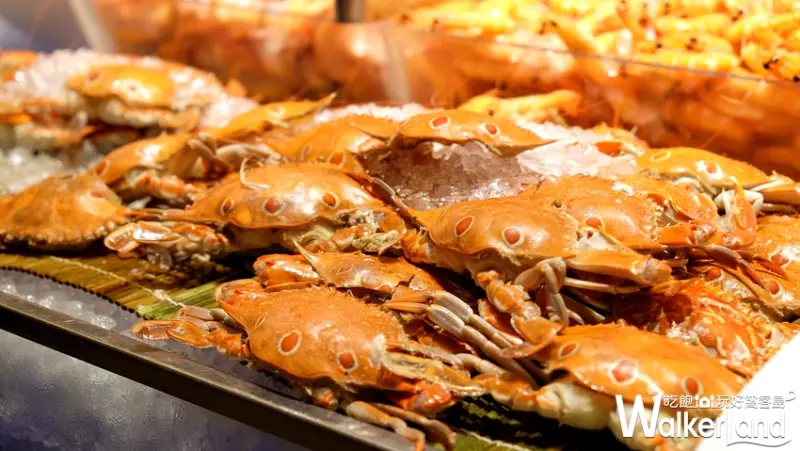 漢來海港 吃到飽 / WalkerLand窩客島提供