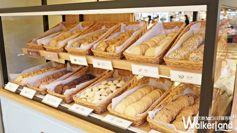 Aunt Stella / WalkerLand窩客島提供