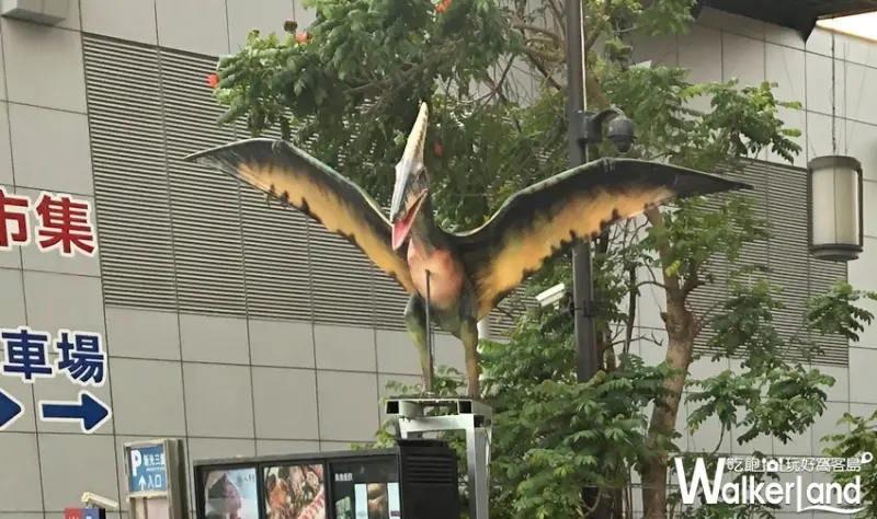 新光三越 / WalkerLand窩客島提供