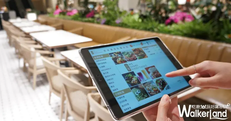 BELLAVITA / WalkerLand窩客島提供