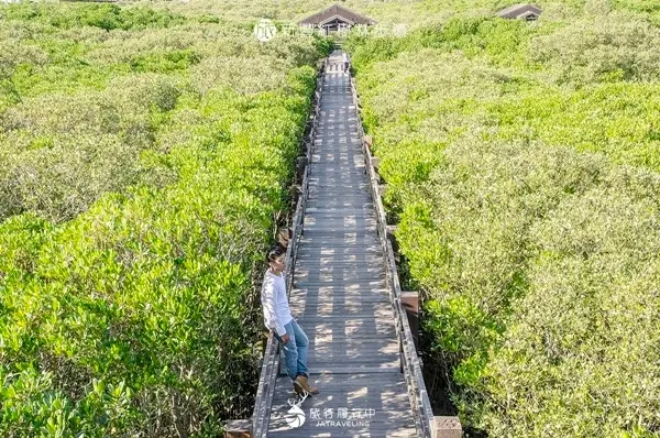 旅遊窩客 旅行‧履行中 提供 / 新豐紅樹林生態保護區