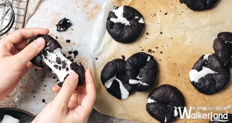 Aunt Stella / WalkerLand窩客島提供