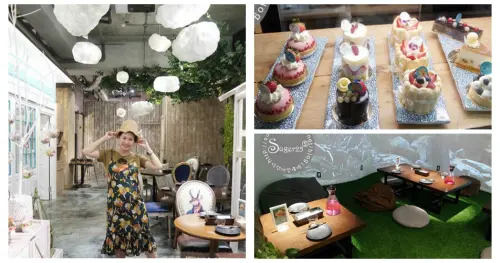 [美食]IG打卡景點//梳子餐廳Salud Tapas//養生素食聚會~好選擇，玻璃屋乾燥花 花圈好夢幻好好拍!!--桃園市