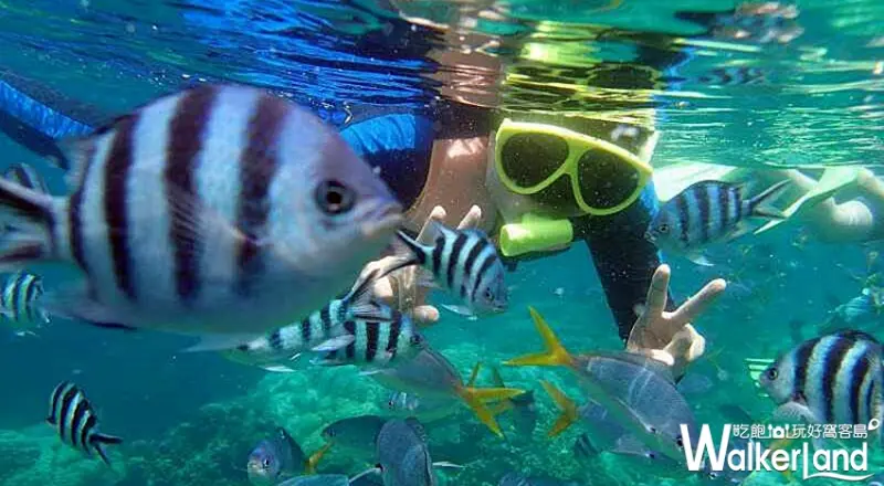 2017台中國際觀光博覽會暨伴手禮展