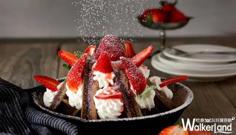 高雄草莓 / WalkerLand窩客島提供