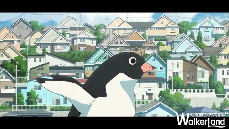 企鵝公路 / WalkerLand窩客島提供