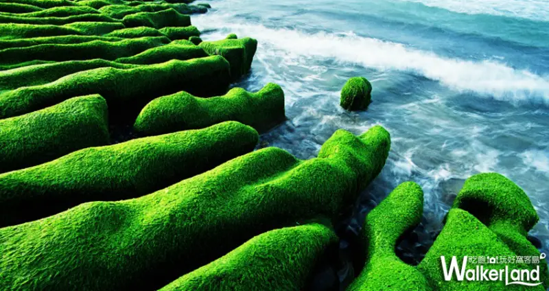 只為你綠一個春天！老梅「綠石槽海岸」奇景，北海岸景觀餐廳放鬆去！