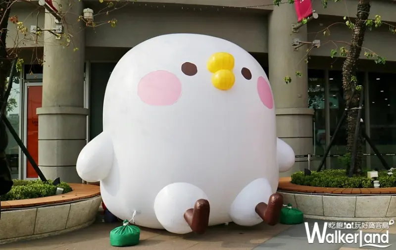 大魯閣草衙道 期間限定活動 / WalkerLand窩客島提供