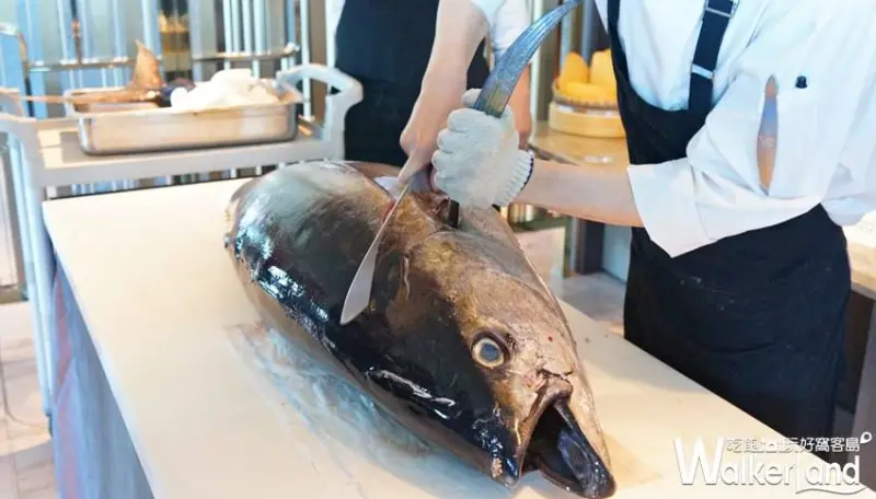 50樓Café  / WalkerLand窩客島提供