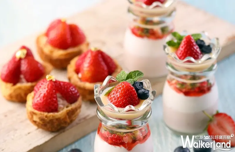 50樓Café/ WalkerLand窩客島整理提供