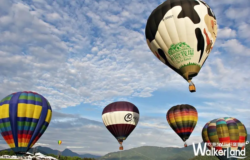 臺灣國際熱氣球嘉年華 / WalkerLand窩客島整理提供