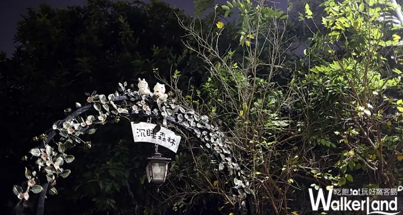 嘉義沉睡森林 / WalkerLand窩客島整理提供