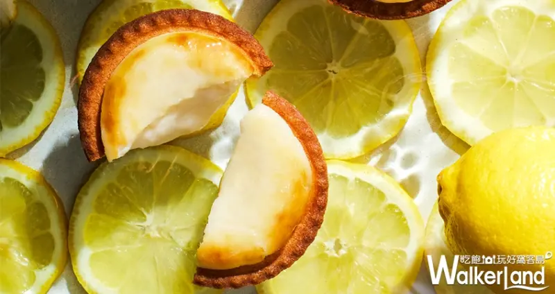 BAKE CHEESE TART瀨戶內蜂蜜檸檬起司塔/ WalkerLand窩客島提供