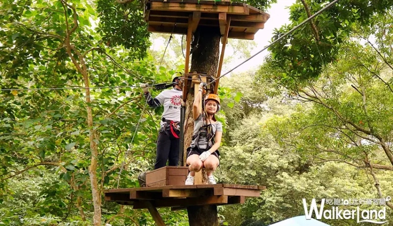 野猴子探險森林