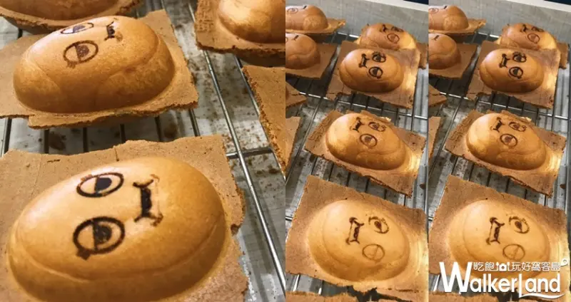 誠實君 / WalkerLand窩客島整理提供