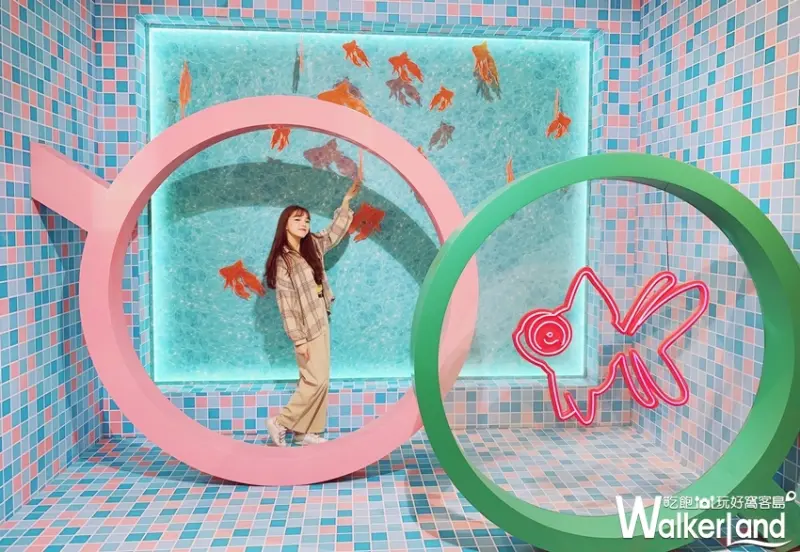 快拍明星夢 / WalkerLand窩客島提供